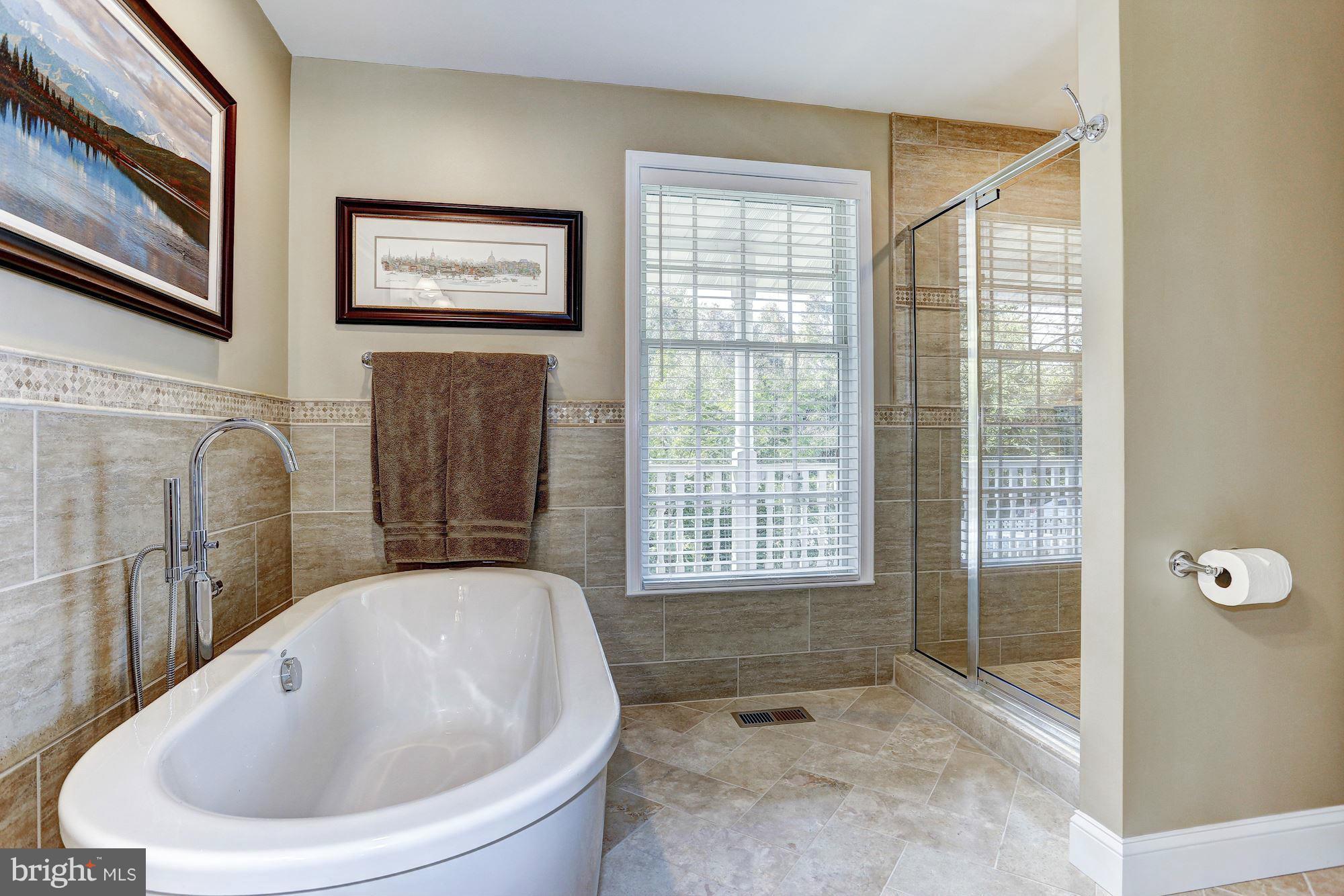 615 Seneca Garden Road Baltimore, MD 21220 - Photo 19 of 30 Bath (Master)