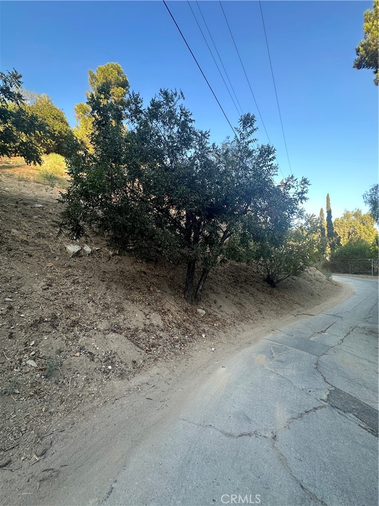 524 Rustic Drive Los Angeles, CA 90065 - Photo 6 of 7