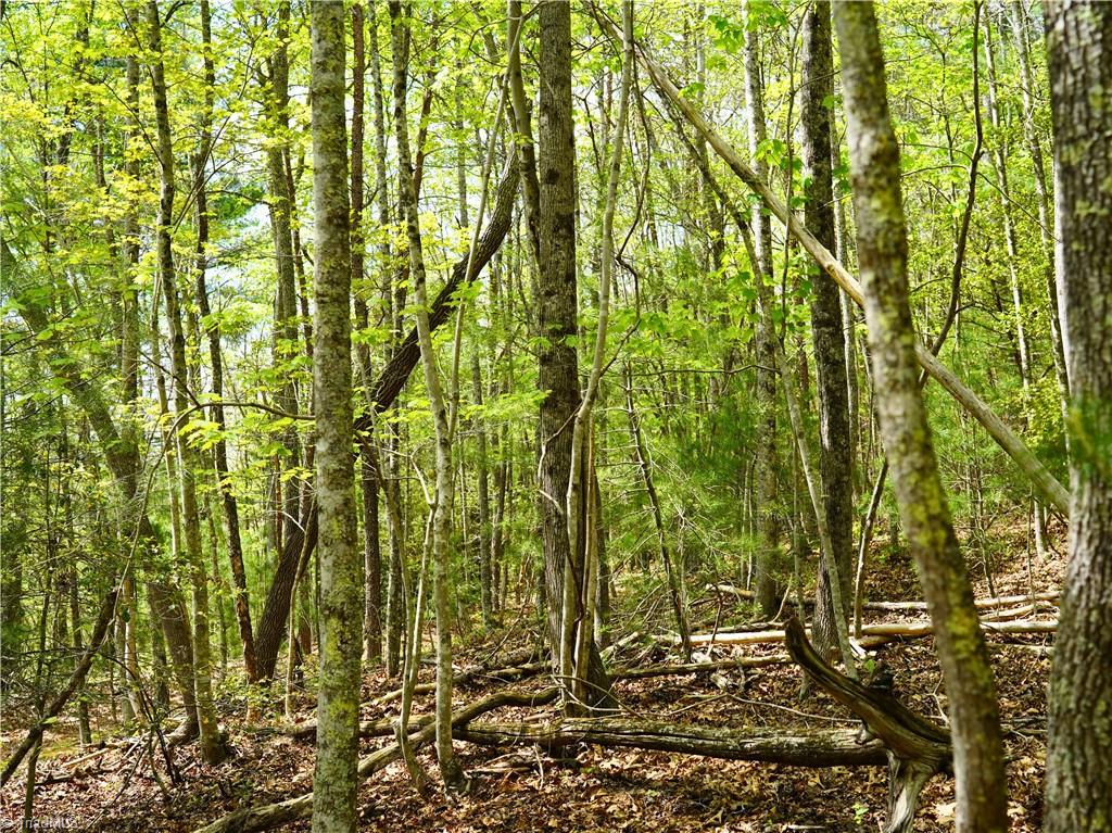 0 Hatchers Chapel Road Mount Airy, NC 27030 - Photo 16 of 44