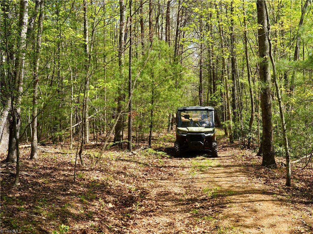 0 Hatchers Chapel Road Mount Airy, NC 27030 - Photo 19 of 44