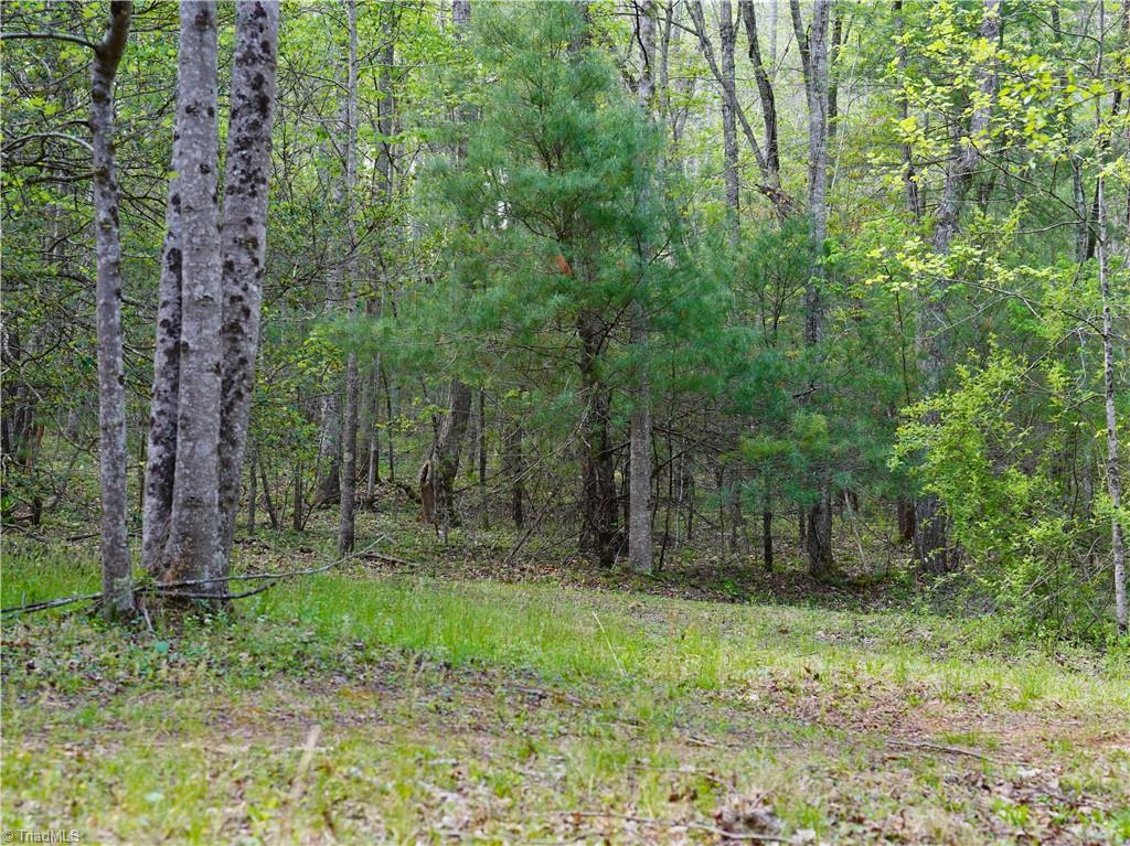 0 Hatchers Chapel Road Mount Airy, NC 27030 - Photo 26 of 44