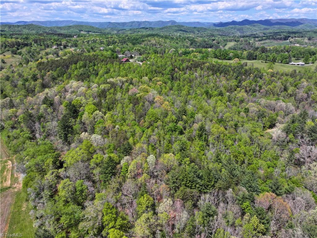 0 Hatchers Chapel Road Mount Airy, NC 27030 - Photo 3 of 44