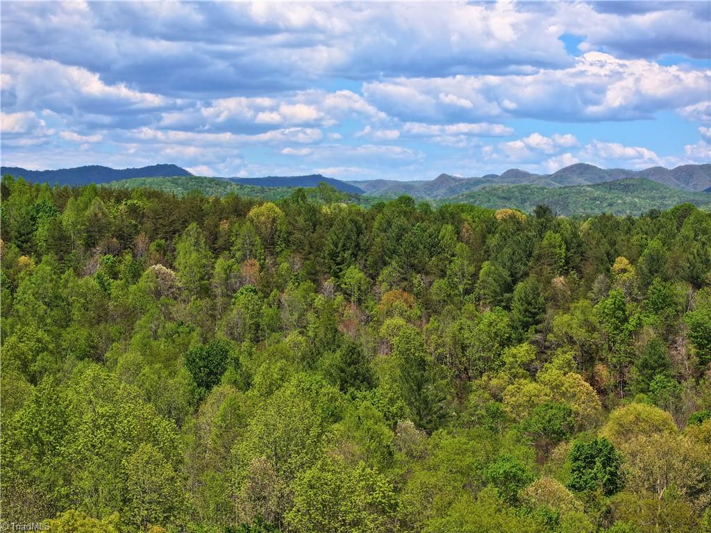 0 Hatchers Chapel Road Mount Airy, NC 27030 - Photo 10 of 44
