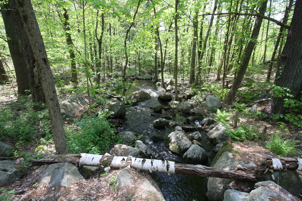 23 Tenney Road Westford, MA 01886 - Photo 25 of 27