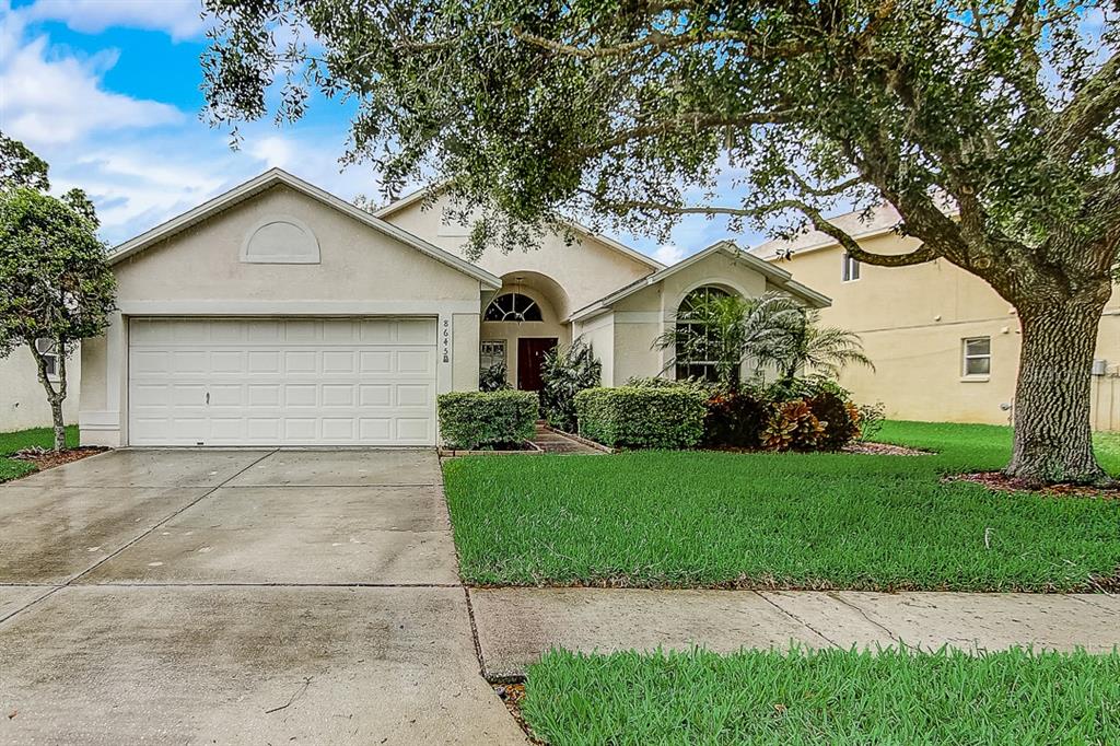 8645 Manassas Road Tampa, FL 33635 - Photo 1 of 1 Gallery Image 1