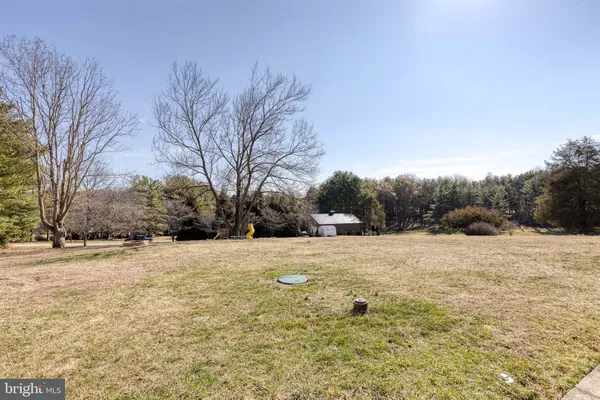a yard with a large tree