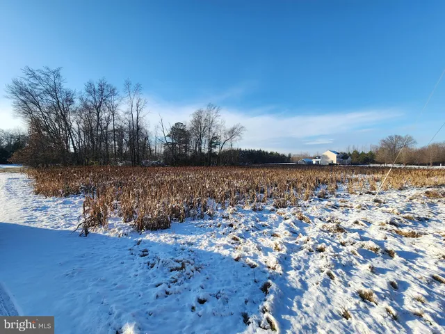 $399,000 | 653 Road 209, Marydel, DE 19964