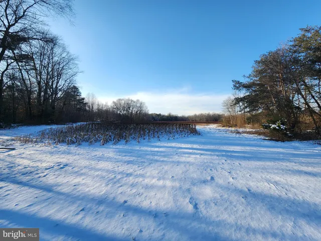 $399,000 | 653 Road 209, Marydel, DE 19964