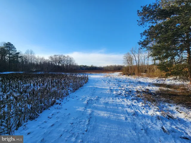 $399,000 | 653 Road 209, Marydel, DE 19964