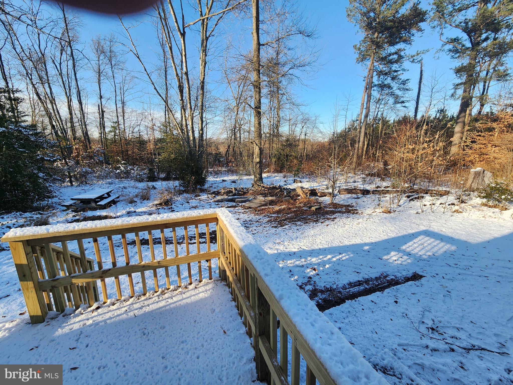 653 Road 209 Marydel, DE 19964 - Photo 23 of 28