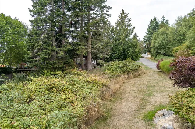 a backyard of a house with lots of green space