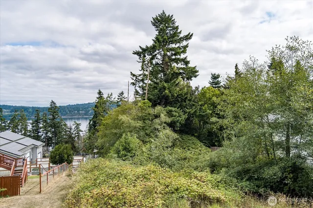 a view of a house with a yard and plant