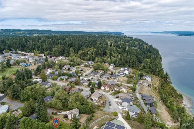 a view of a bunch of trees and bushes