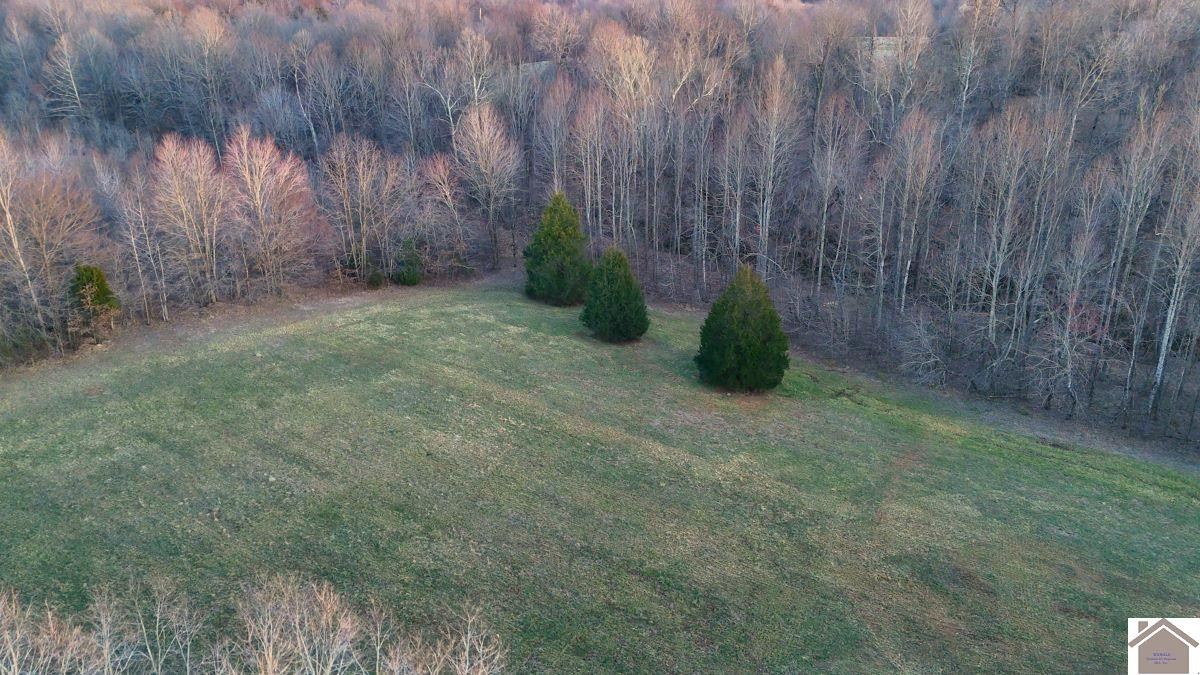 0 Wray Road Wingo, KY 42088 - Photo 7 of 39 Photo 7