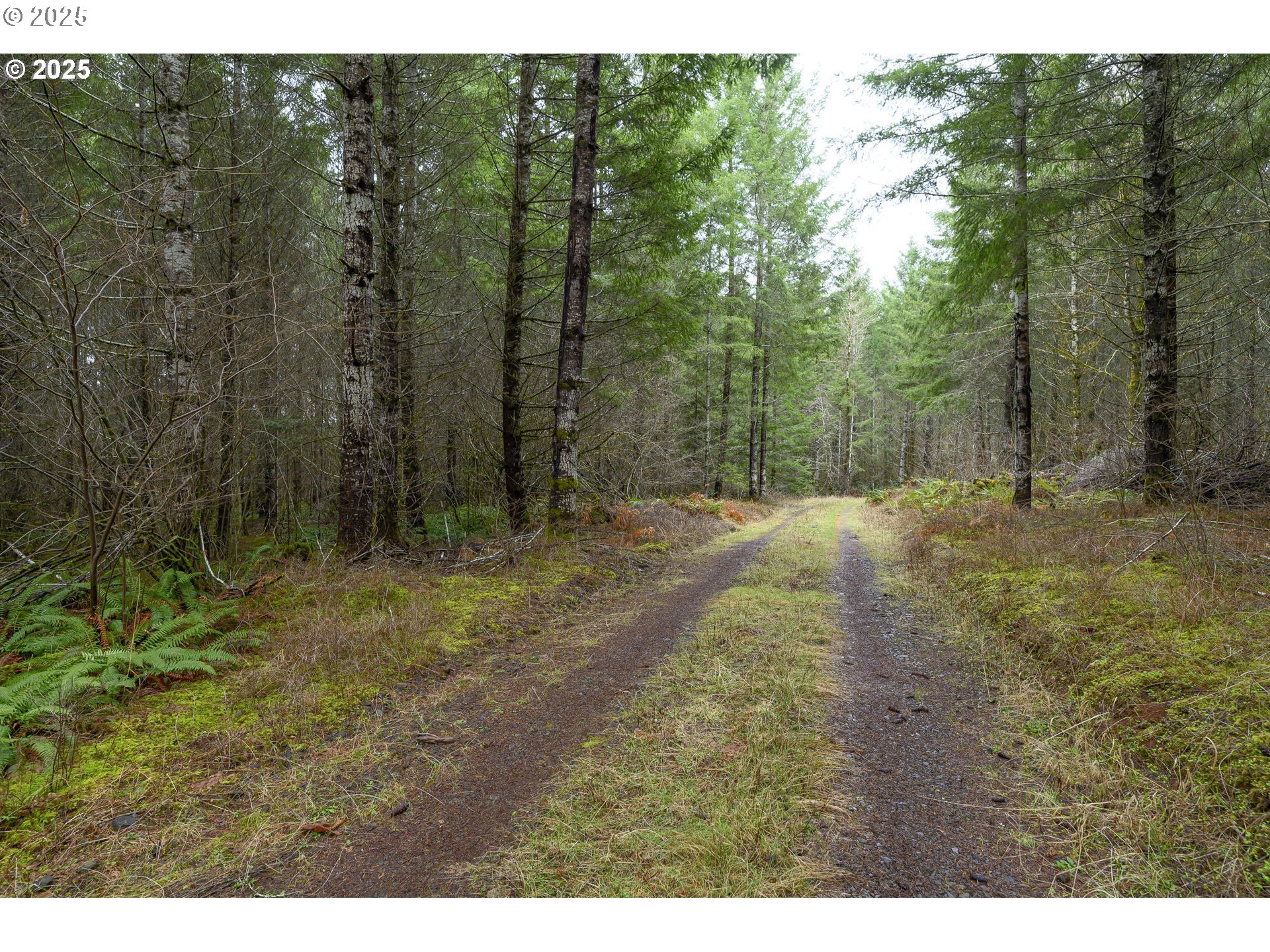 0 Northwest Panther Creek Road Yamhill, OR 97148 - Photo 16 of 28