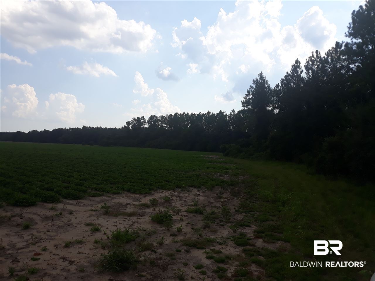 4 Copeland Road Milton, FL 32570 - Photo 7 of 10