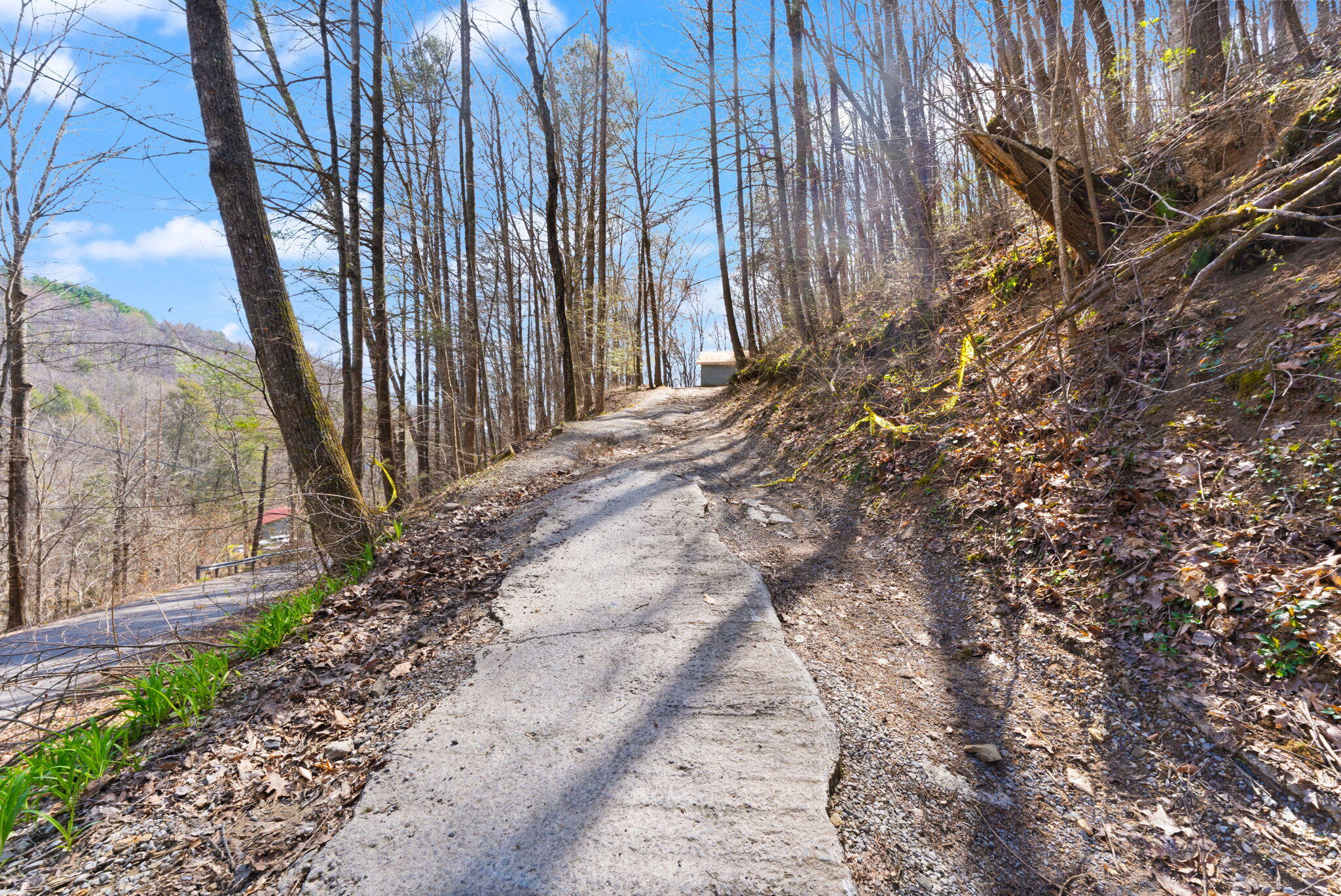 1197 Beans Fork Road Middlesboro, KY 40965 - Photo 3 of 28
