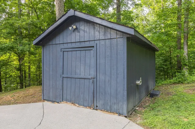 a view of a forest with an outdoor space