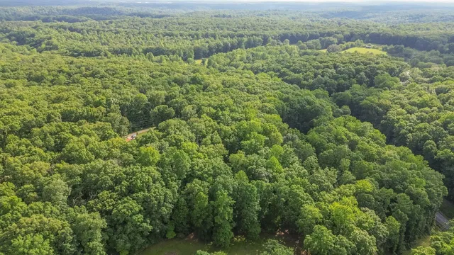 a view of a green yard