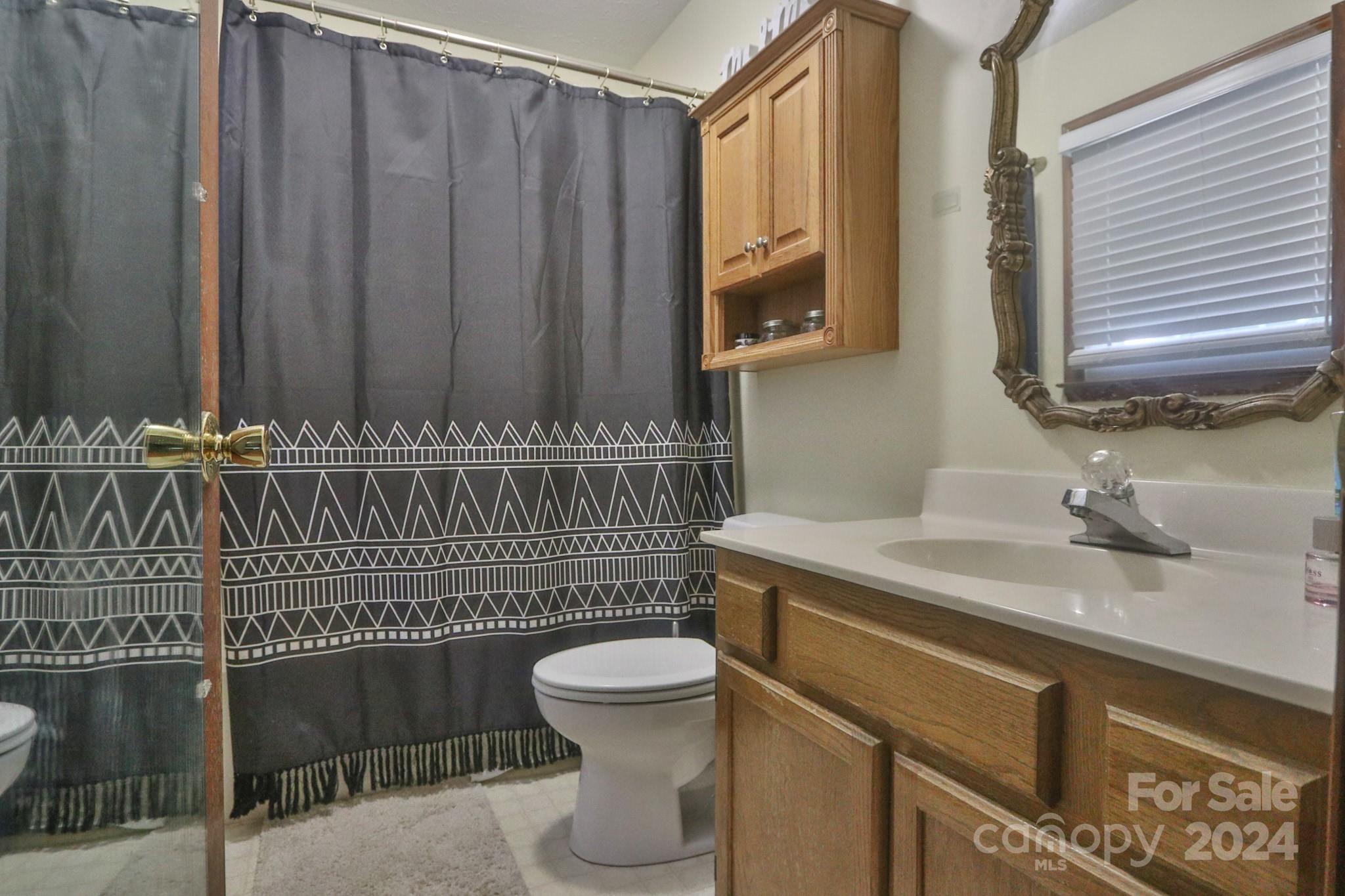 124 Maple Ridge Drive King, NC 27021 - Photo 18 of 40 a bathroom with a sink a toilet and mirror