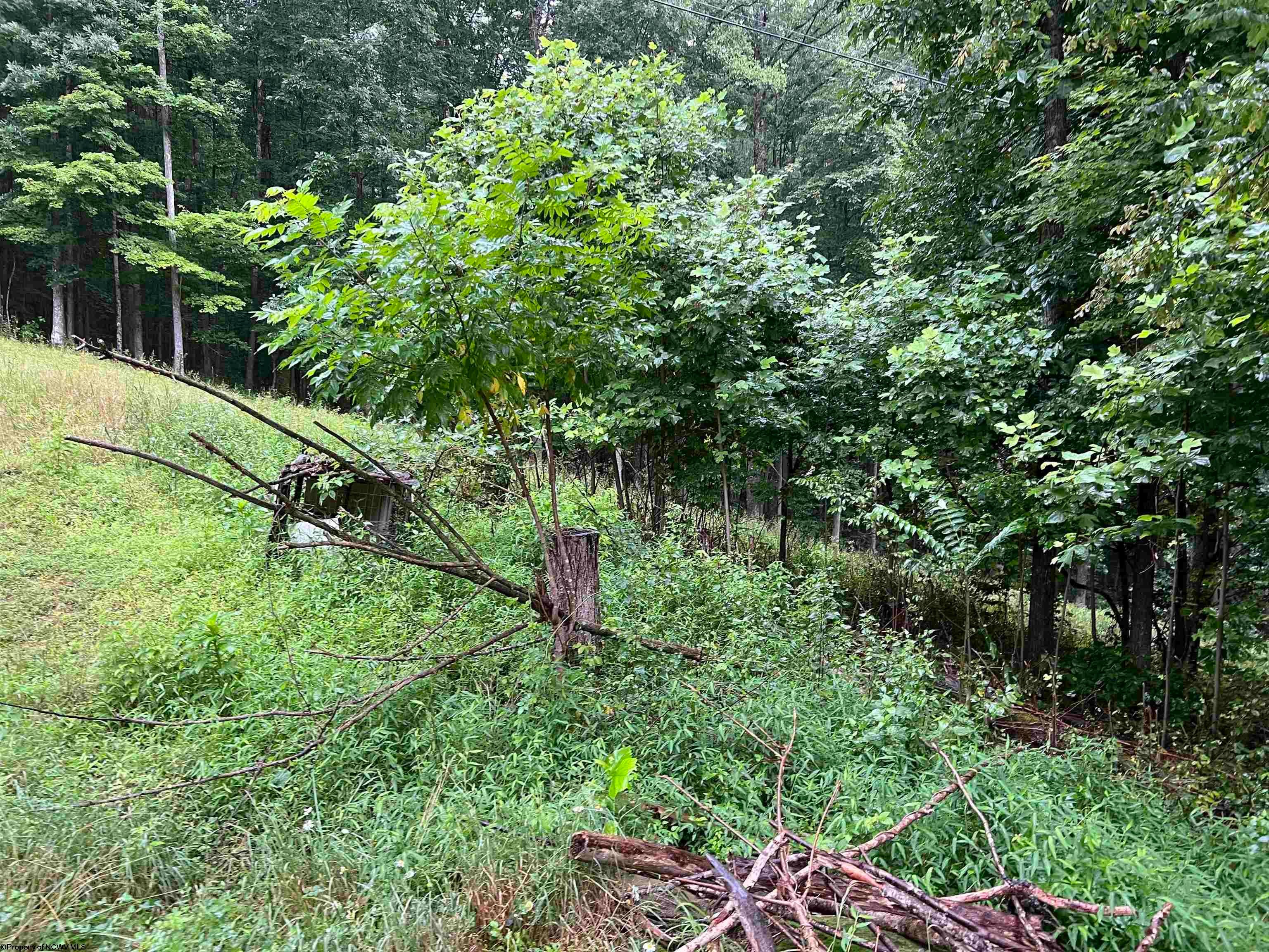 3468 Vernon Road Flatwoods, WV 26621 - Photo 5 of 28 Gallery Image 5