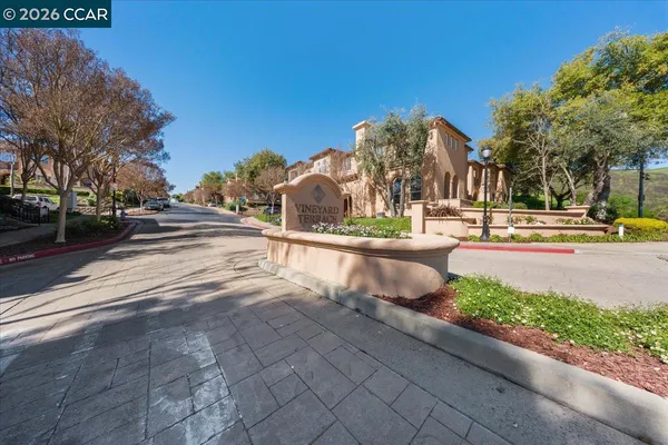 a view of a yard with large trees