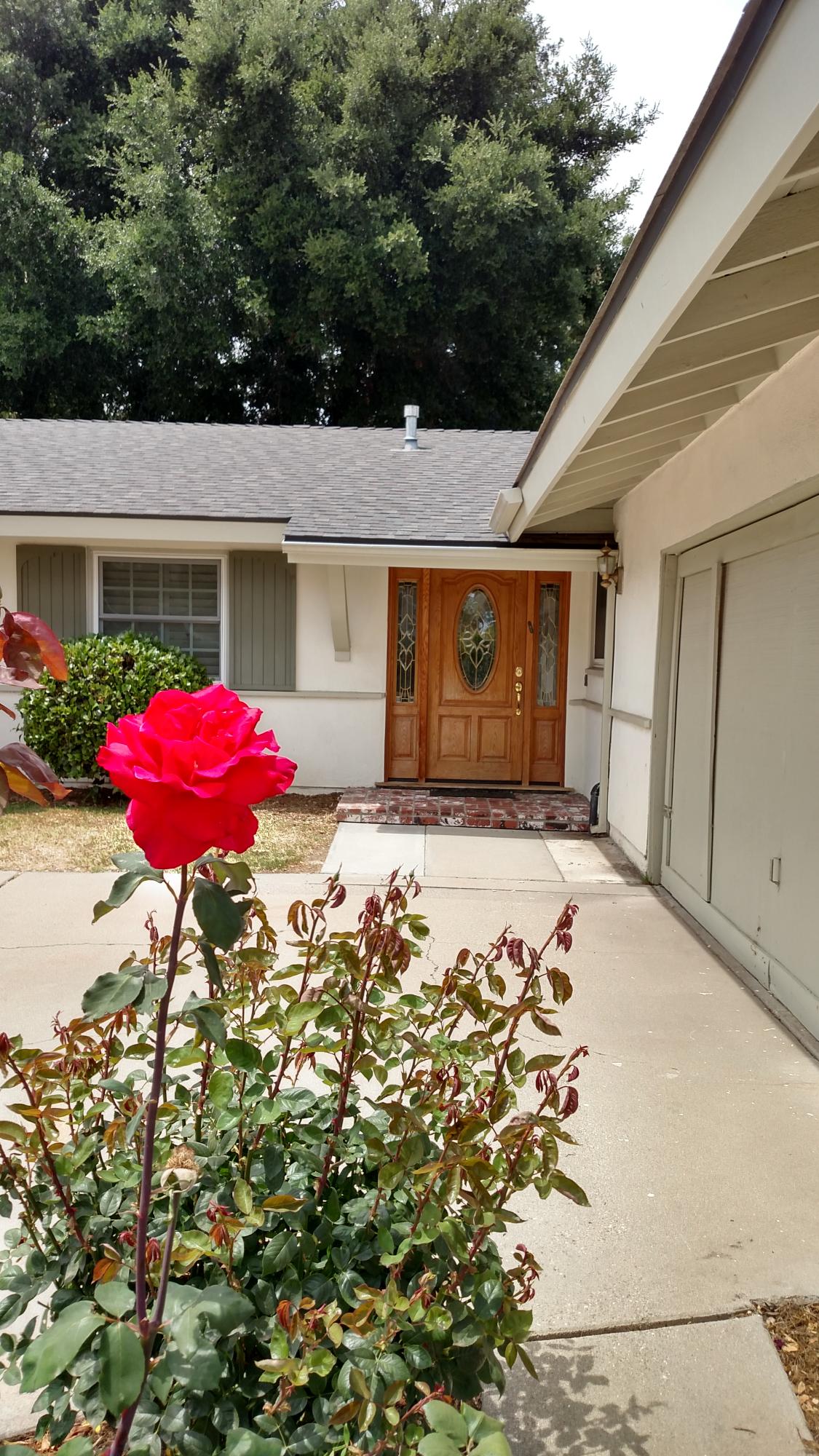 537 Windsor Avenue Goleta, CA 93117 - Photo 15 of 16 front view of a house with a yard