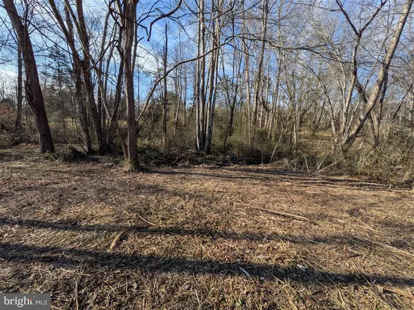 a view of outdoor space with deck and tree
