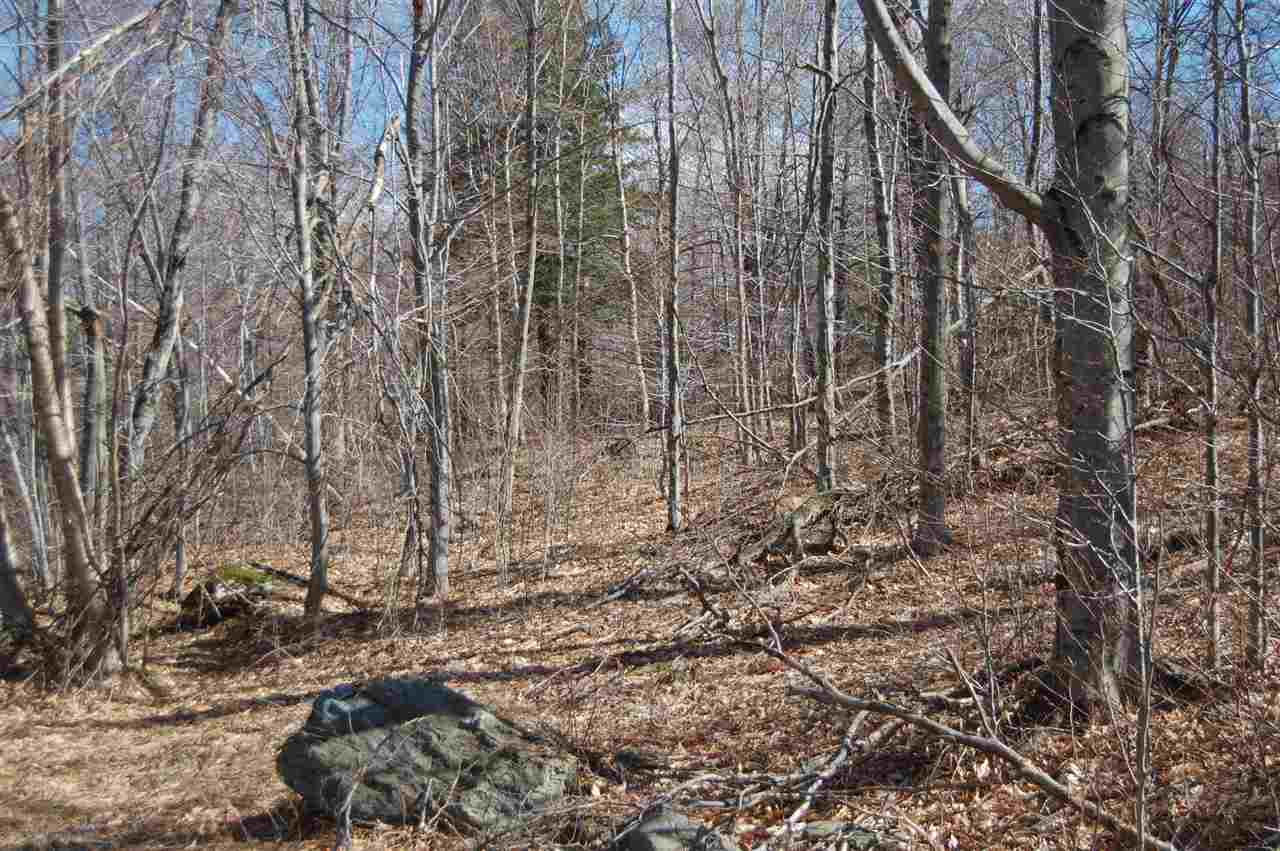 23 Wheeler Road, Unit LOT #6 Underhill, VT 05489 - Photo 3 of 8 Gallery Image 3