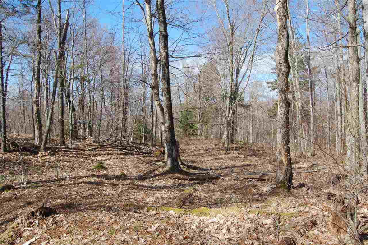 23 Wheeler Road, Unit LOT #6 Underhill, VT 05489 - Photo 5 of 8 Gallery Image 5