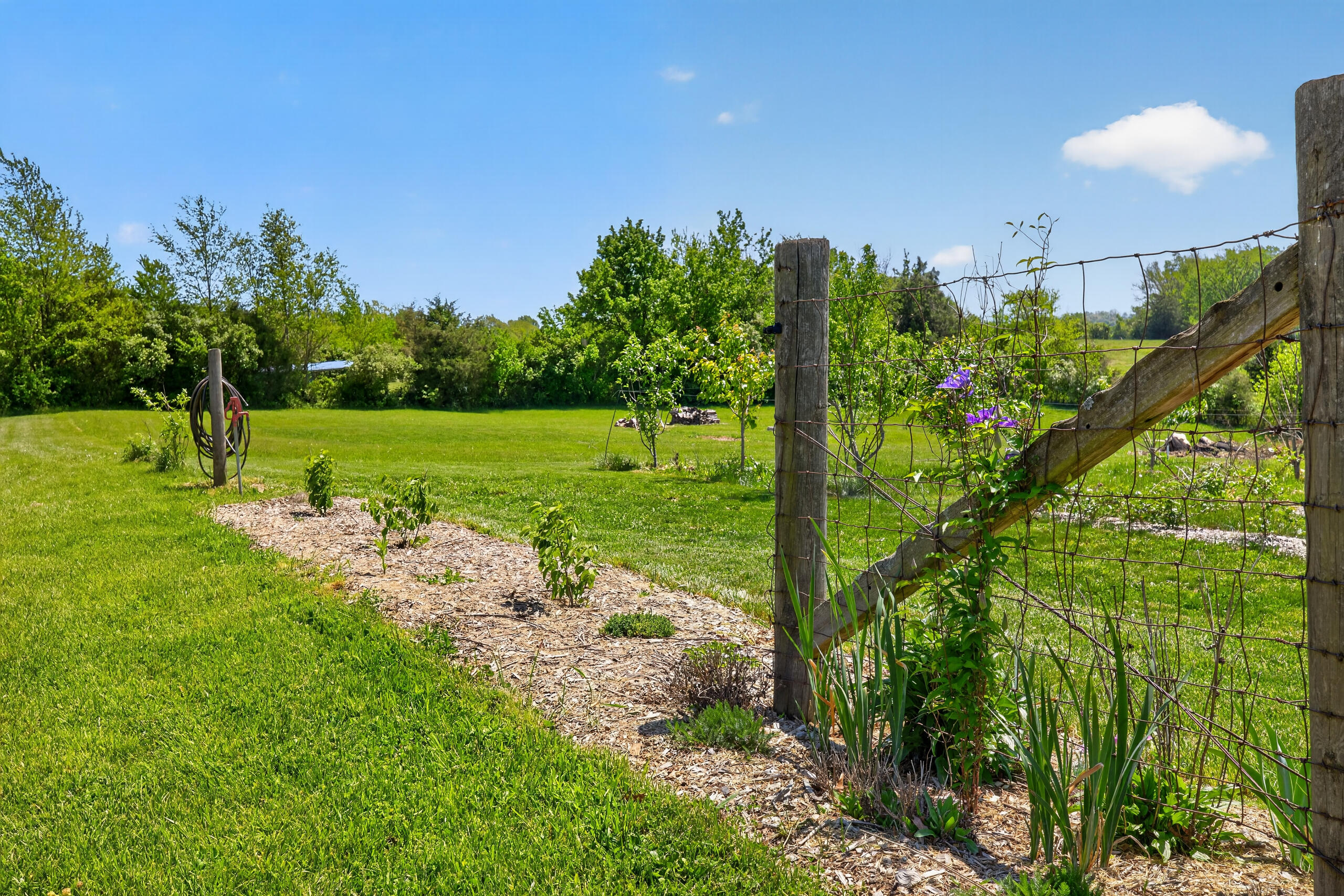 3306 Union Mill Road Nicholasville, KY 40356 - Photo 30 of 43 132