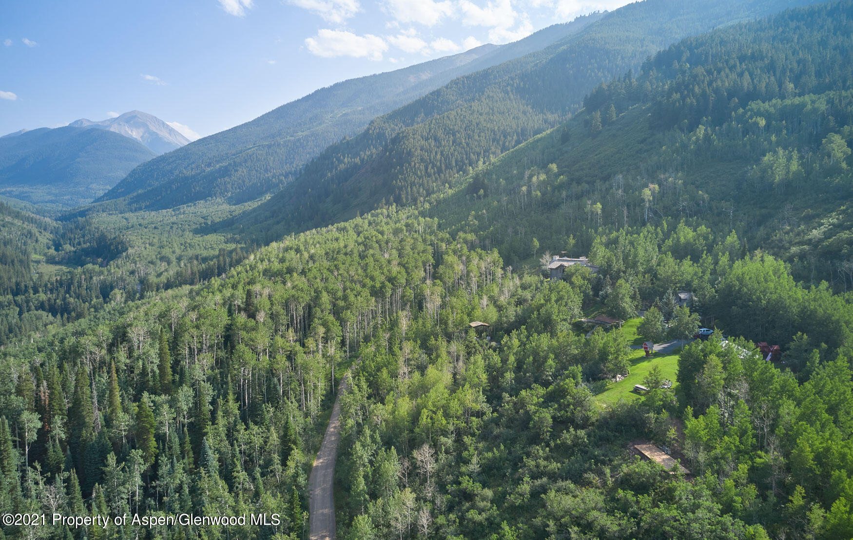 931 North Hayden Road Aspen, CO 81611 - Photo 18 of 44 a view of a lush green forest with lots of trees