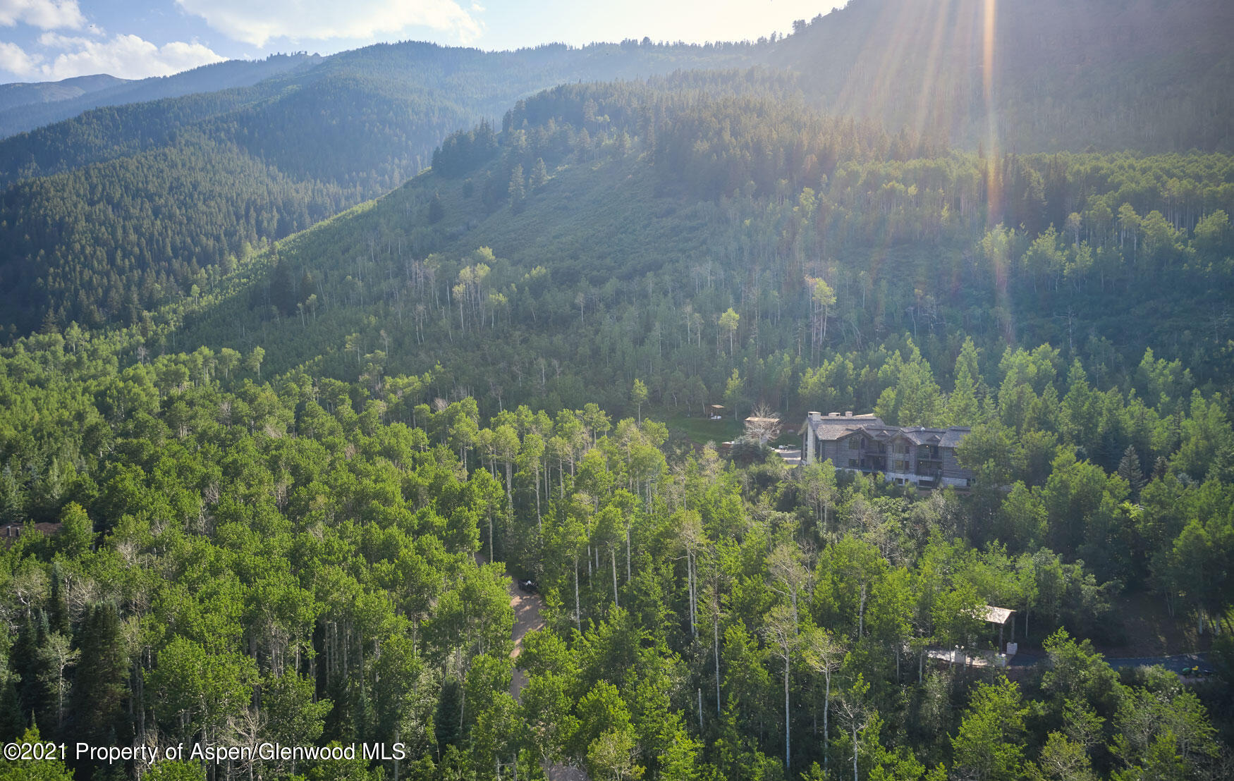 931 North Hayden Road Aspen, CO 81611 - Photo 19 of 44 a view of a bunch of trees and bushes