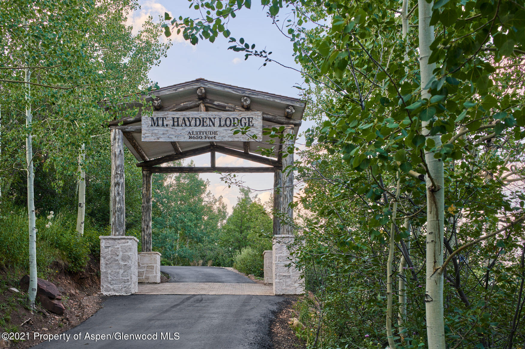931 North Hayden Road Aspen, CO 81611 - Photo 31 of 44 a view of a street with a tree