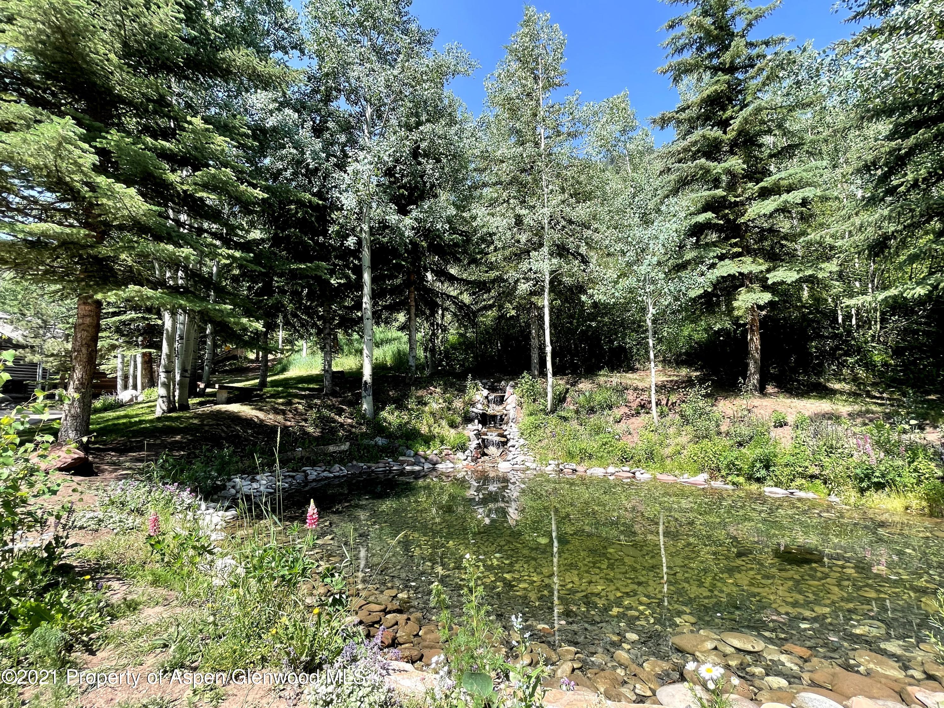 931 North Hayden Road Aspen, CO 81611 - Photo 37 of 44 a backyard of a house with lots of green space