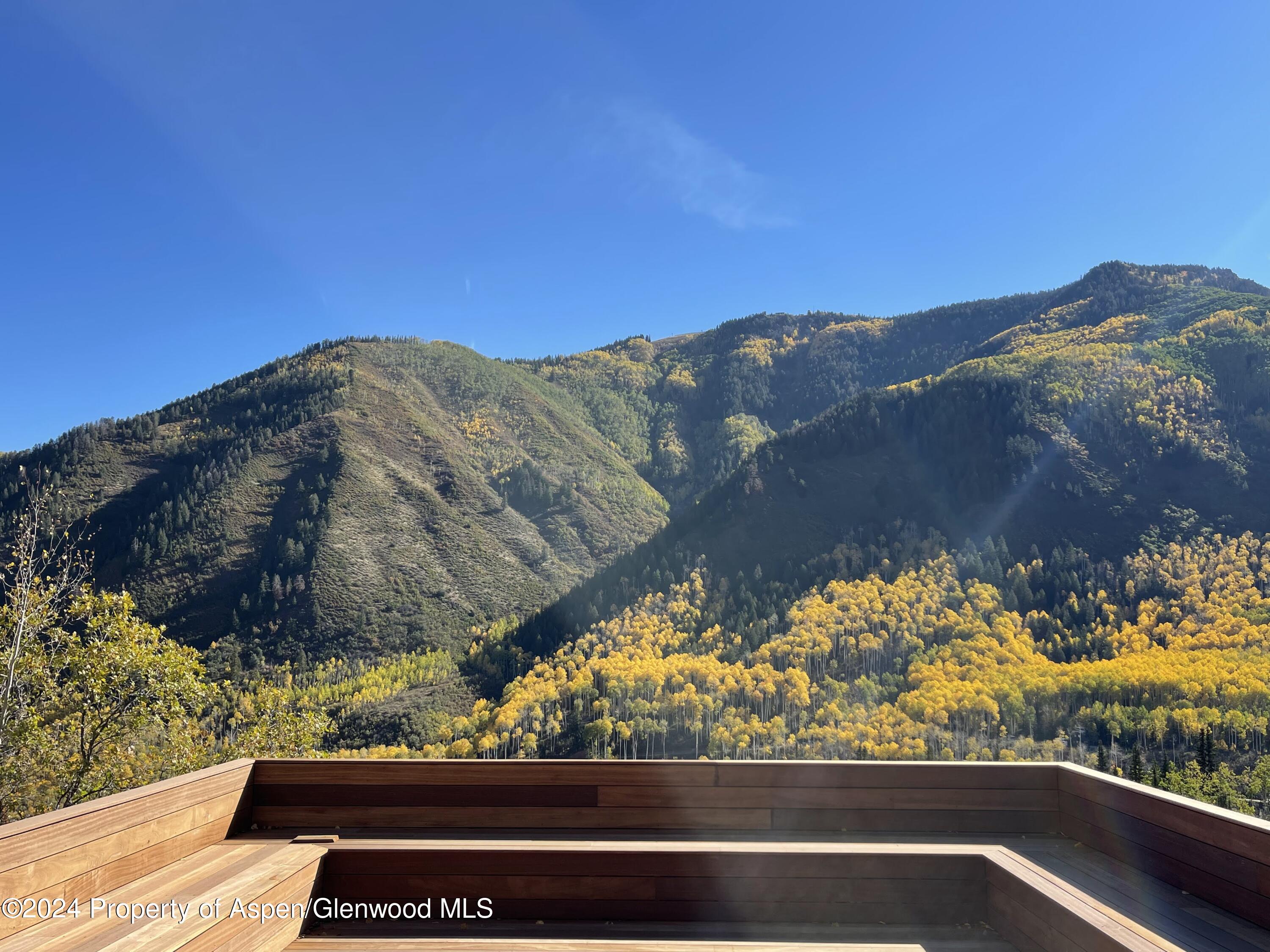 931 North Hayden Road Aspen, CO 81611 - Photo 44 of 44 a view of a yard