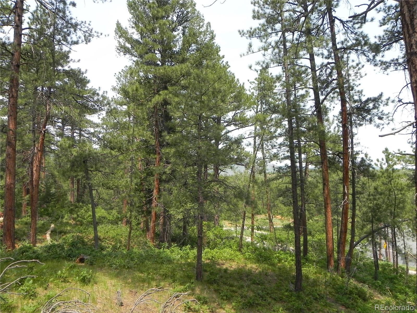 8029 Inca Road Larkspur, CO 80118 - Photo 22 of 34 Gallery Image 22