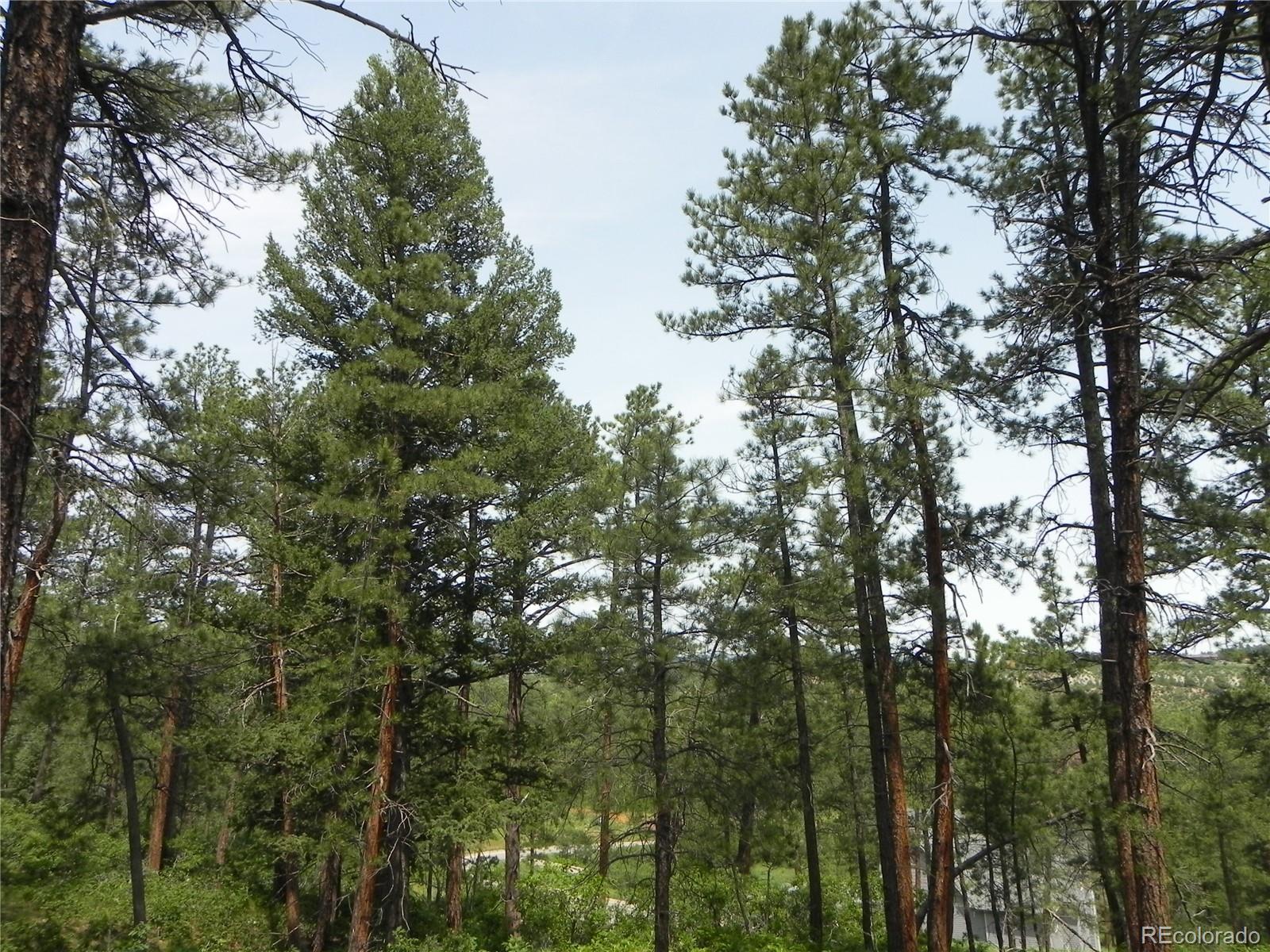 8029 Inca Road Larkspur, CO 80118 - Photo 23 of 34 Gallery Image 23