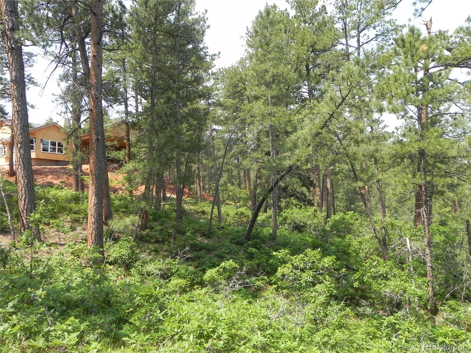 8029 Inca Road Larkspur, CO 80118 - Photo 28 of 34 Gallery Image 28