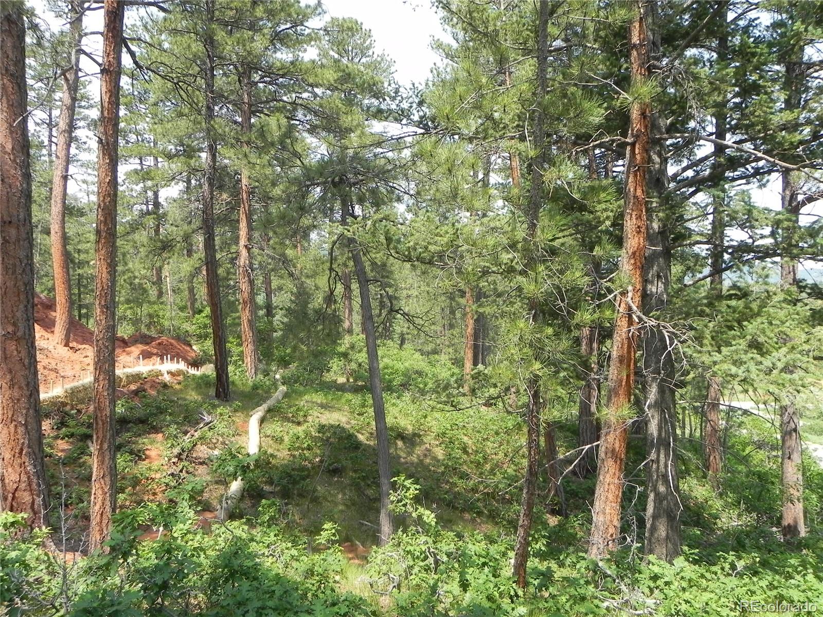 8029 Inca Road Larkspur, CO 80118 - Photo 31 of 34 Gallery Image 31
