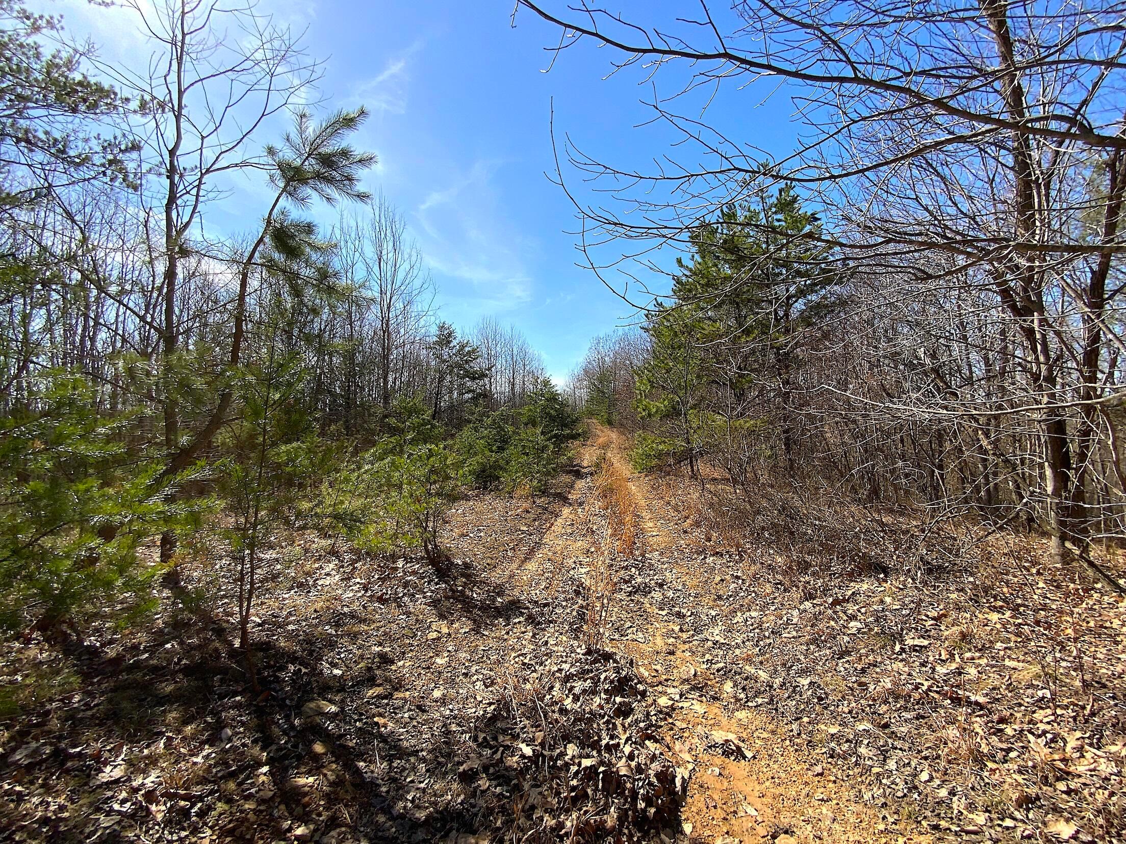 0 Kelly Road Ray, OH 45672 - Photo 5 of 46 Vinton County Kelly Rd 4