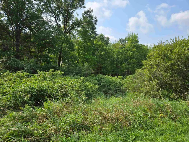 $119,900 | 0 Chicago, Coloma, WI 54930