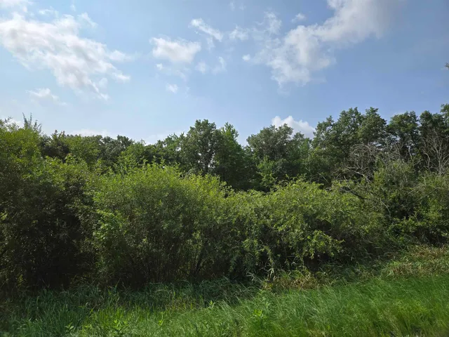 $119,900 | 0 Chicago, Coloma, WI 54930