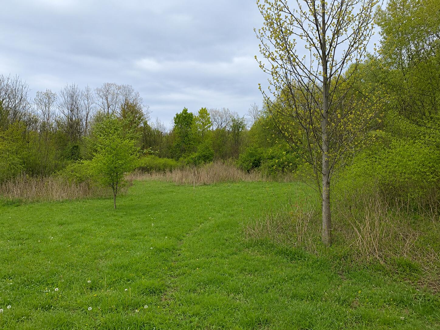 8400 Kruger Road Three Oaks, MI 49128 - Photo 6 of 8 8400 Kruger