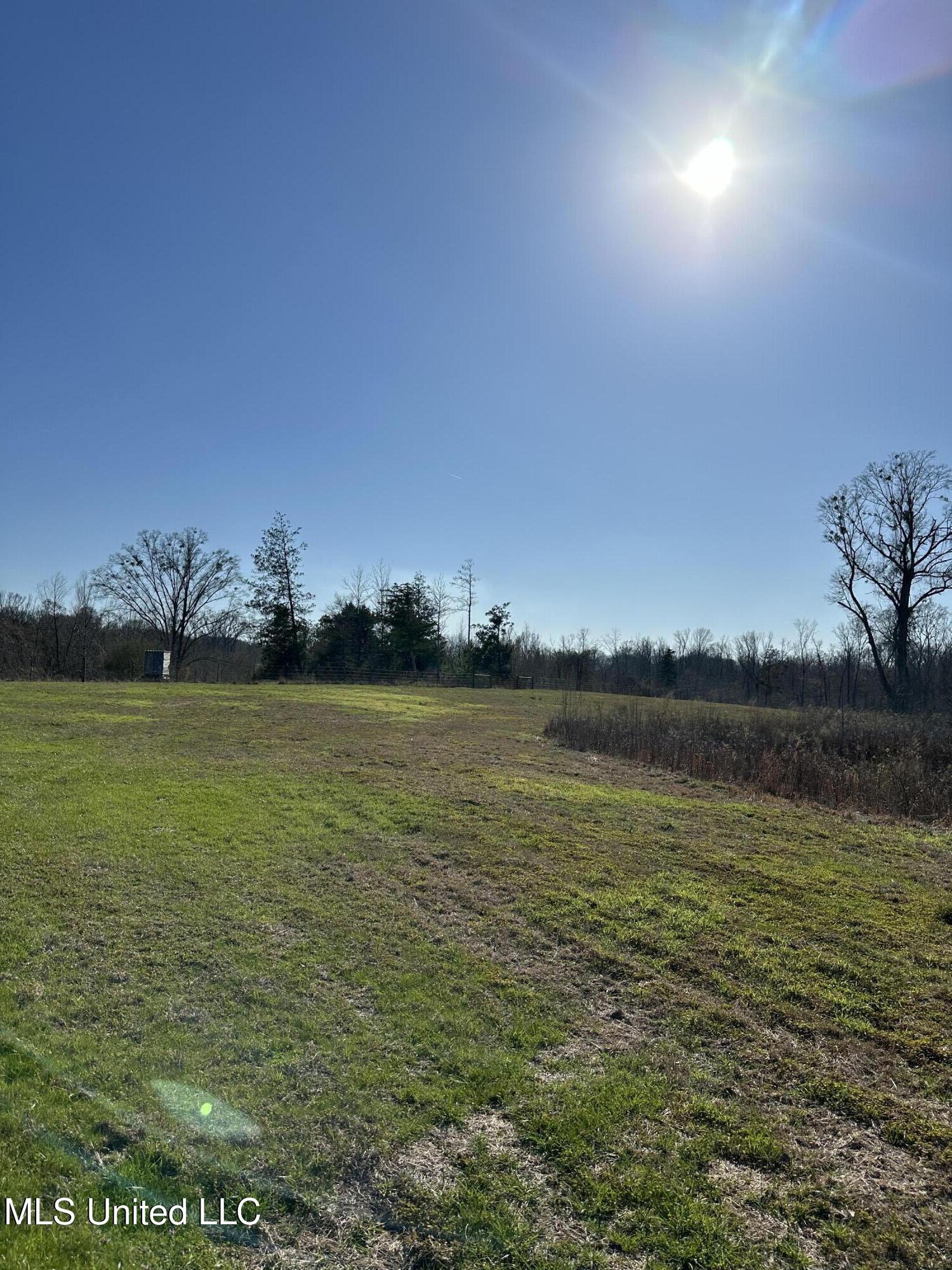 0 Chichester Road Edwards, MS 39066 - Photo 13 of 14 2