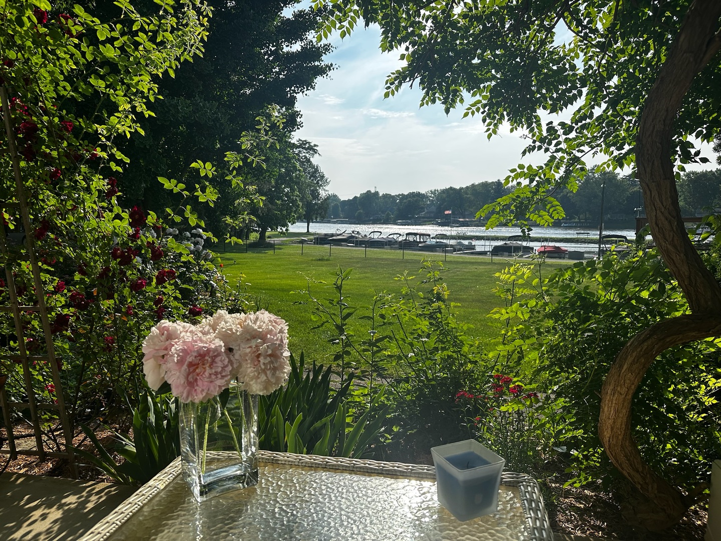 101 Beachway Drive Fox River Grove, IL 60021 - Photo 26 of 28 a view of a garden with a lake view