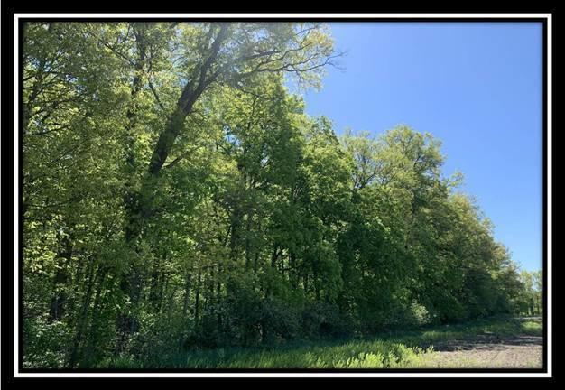12114 St Rt 736 Road Marysville, OH 43040 - Photo 11 of 22