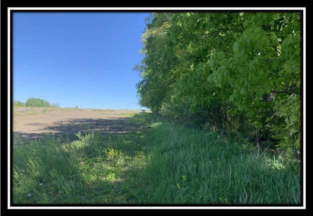 12114 St Rt 736 Road Marysville, OH 43040 - Photo 14 of 22