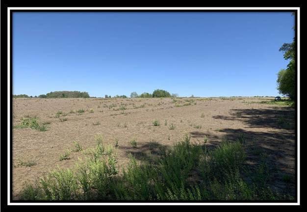 12114 St Rt 736 Road Marysville, OH 43040 - Photo 15 of 22