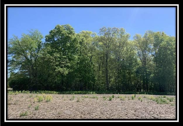 12114 St Rt 736 Road Marysville, OH 43040 - Photo 18 of 22